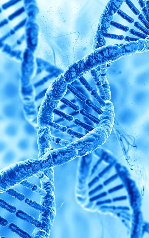 Anhua Bio lança produto PDRN: reconstruindo a cadeia de suprimentos global de matérias-primas para regeneração de tecidos com biologia sintética